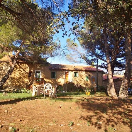 Maison Entiere Hameau Monastir Del Camp Passa Exteriör bild